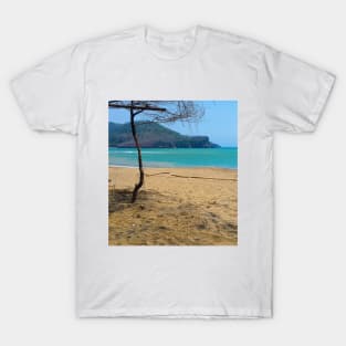 White sand beach with pine tree trunks and mountain in backround T-Shirt